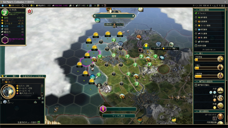 石炭タイルの購入1