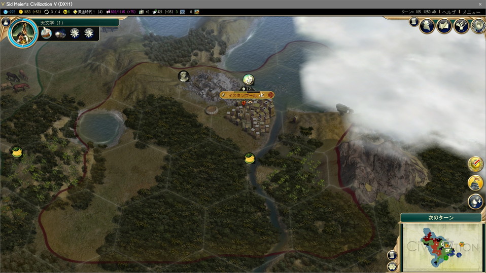 よく見たらジャングル立地のオスマントルコ首都